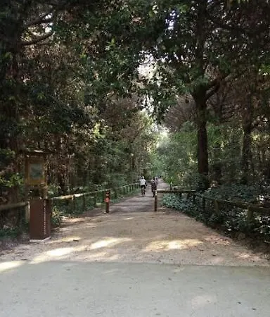 דירה Al Mare ארקליאה מארה